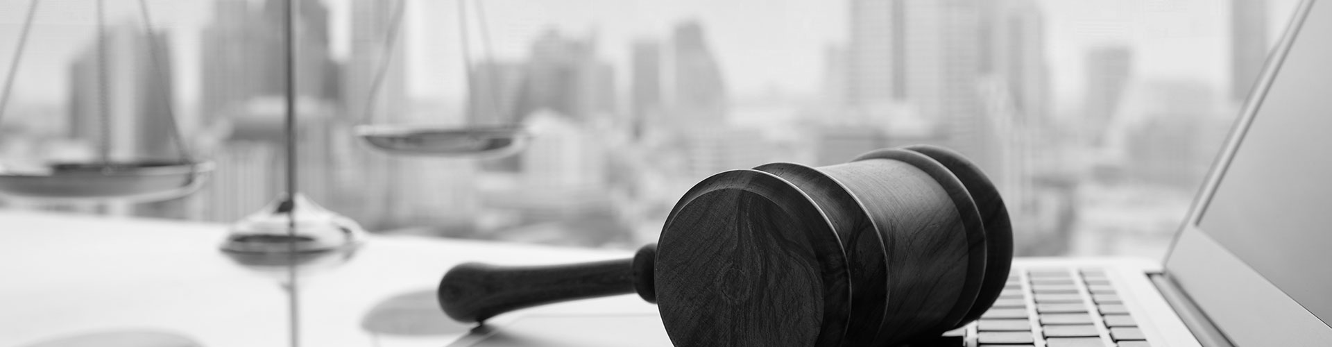 Services Leviton Law Group, A PC